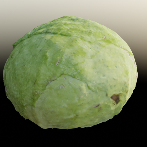 3d scanned cabbage preview image